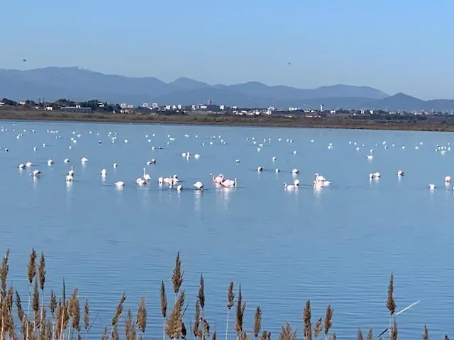 캠프장 Mar Estang 카네트